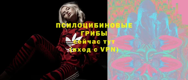 крисы Балахна