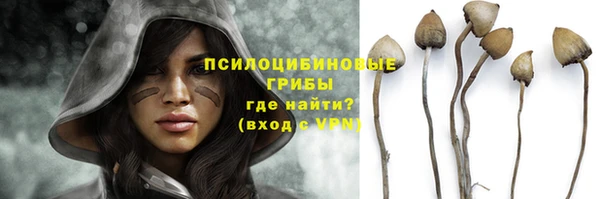крисы Балахна