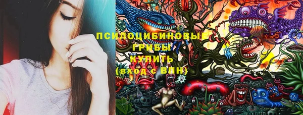 крисы Балахна