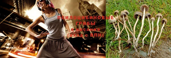 крисы Балахна