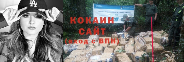 крисы Балахна
