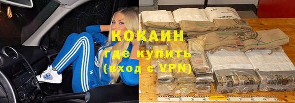 крисы Балахна